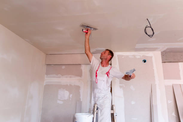 Best Faux Finishing and Decorative Painting  in San Clemente, CA